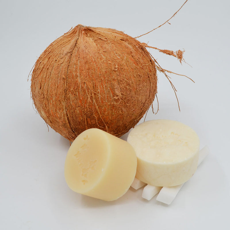 Shampoo de Coco