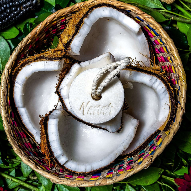 Shampoo de Coco