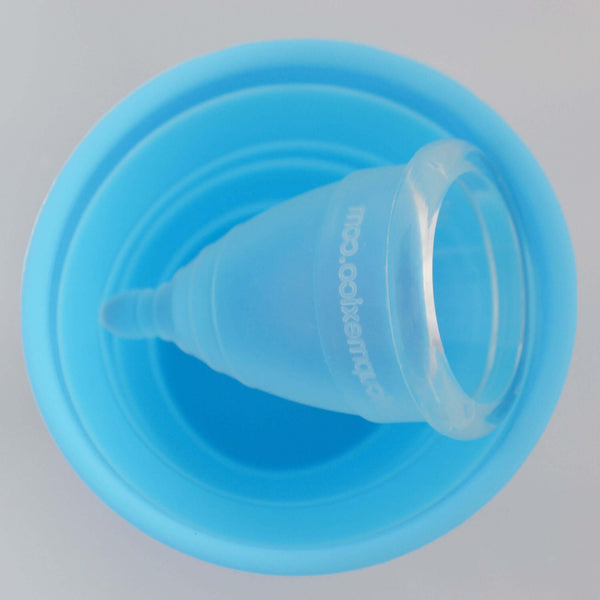 Vaso Esterilizador